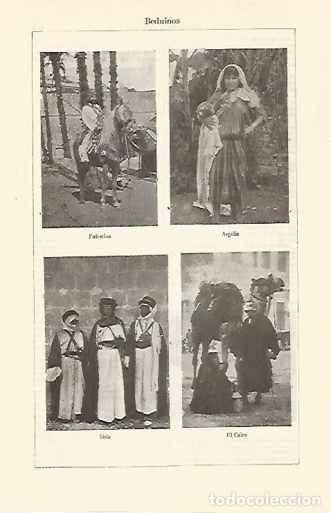 Postales: LAMINA ESPASA 30911: Beduinos de Palestina Argelia Siria y El Cairo - Varios