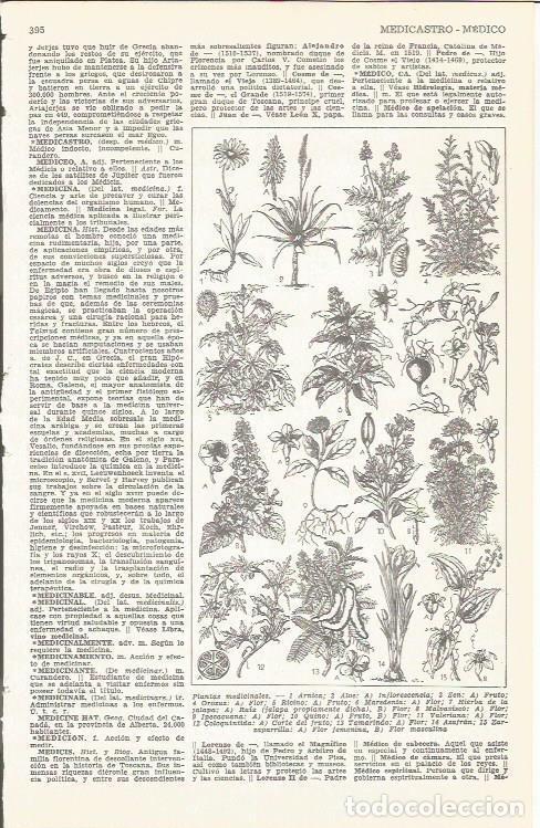 Postcards: LAMINA 51691: Plantas medicinales - VVAA