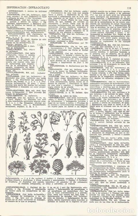 Postcards: LAMINA 51656: Inflorescencia - VVAA