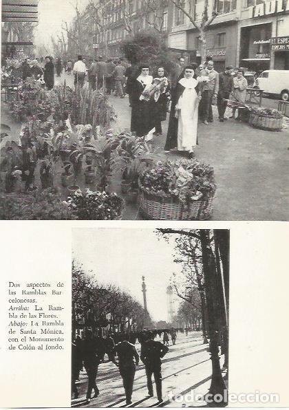 Postcards: LAMINA 51417: Las Ramblas de Barcelona - M. Bartolome Lopez