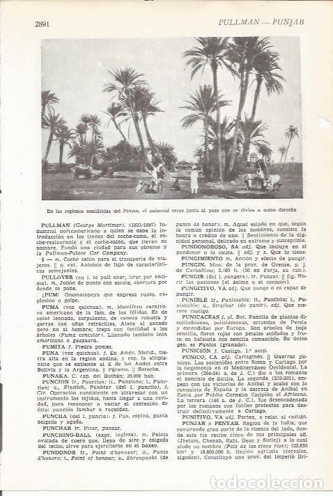 Postcards: LAMINA 51522: Palmeral en Punjab, India - VVAA