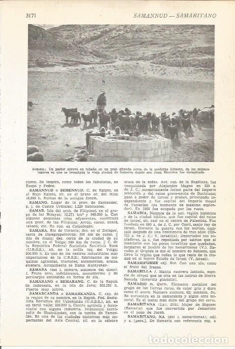 Postcards: LAMINA 51545: Pastor en la region de Samaria, Israel - VVAA