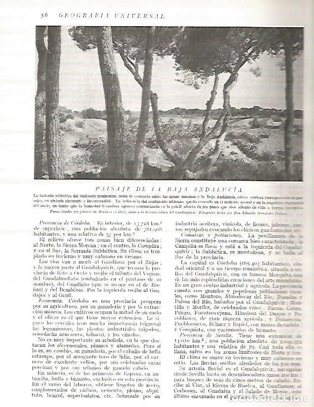 Postcards: LAMINA 3061: ESPA&Ntilde;A. Pinares en Bonanza Cadiz - Ramon Otero Pedrayo