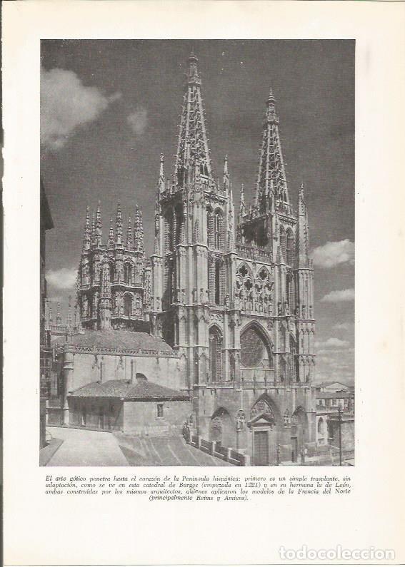 Postkarten: LAMINA 25914: Catedral de Burgos - VVAA