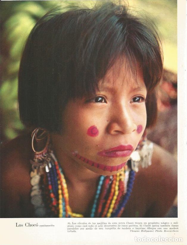 Cartoline: LAMINA 26372: Los Choco - Edward Weyer, Jr