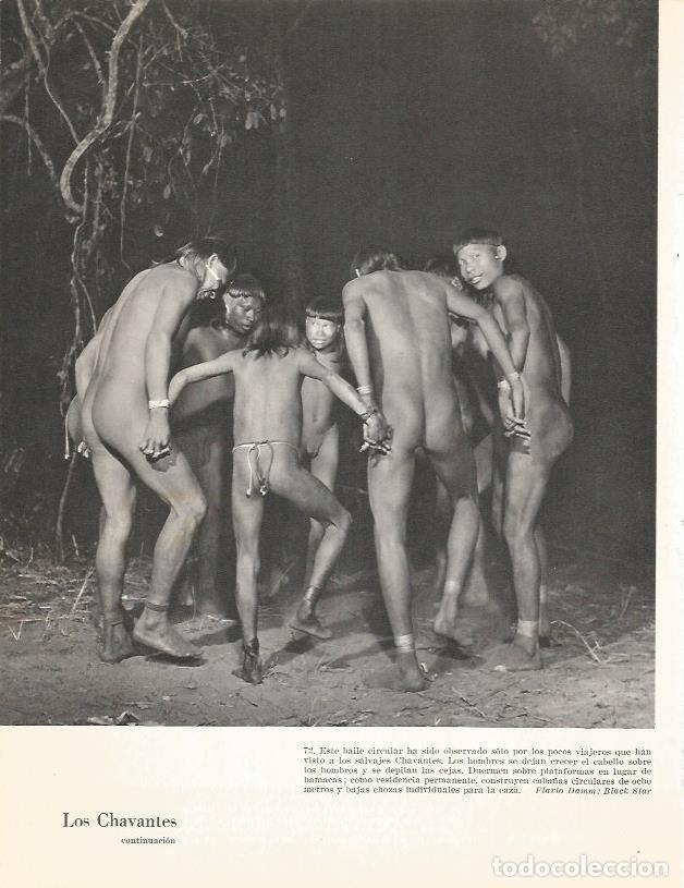 Cartoline: LAMINA 26379: Los Chavantes - Edward Weyer, Jr