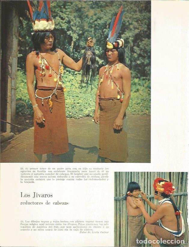 Cartoline: LAMINA 26374: Los Jivaros - Edward Weyer, Jr