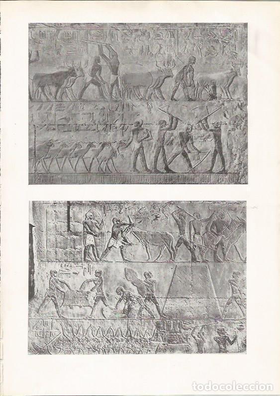 Postales: LAMINA HISTORIA 26152: Bajorrelieves de Egipto - VVAA