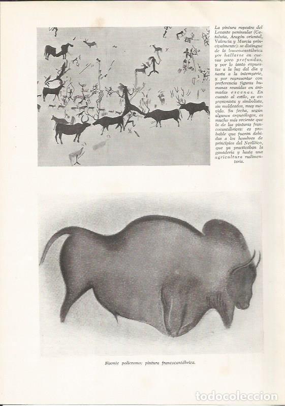 Cartes Postales: LAMINA HISTORIA 26138: Pintura rupestre de bufalo - VVAA