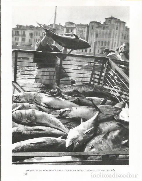 Cartoline: LAMINA 26663: Pesca de atun en San Juan de la Luz - Pio Baroja