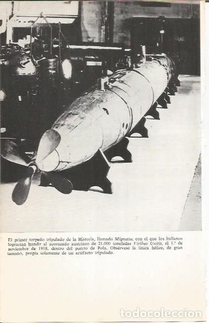 Postcards: LAMINA 27048: Torpedo Mignatta - Luis de la Sierra