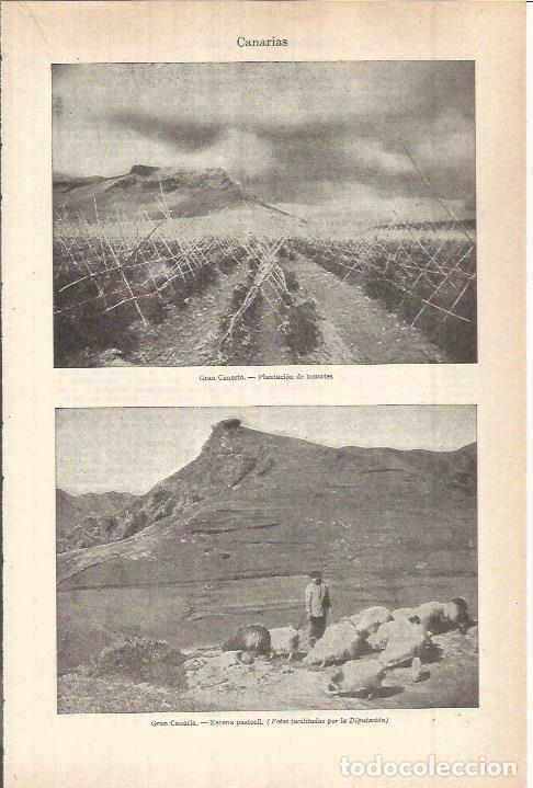 Postales: LAMINA ESPASA 38039: Vistas de Gran Canaria - Varios