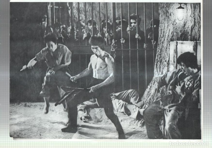 Postkarten: Lamina Bruce Lee numerada 04 -