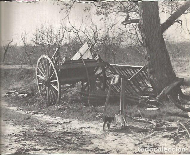 Cartes Postales: LAMINA V00282: Carro abandonado en Segria, Lerida - J. Vallverdu - T. Sirera