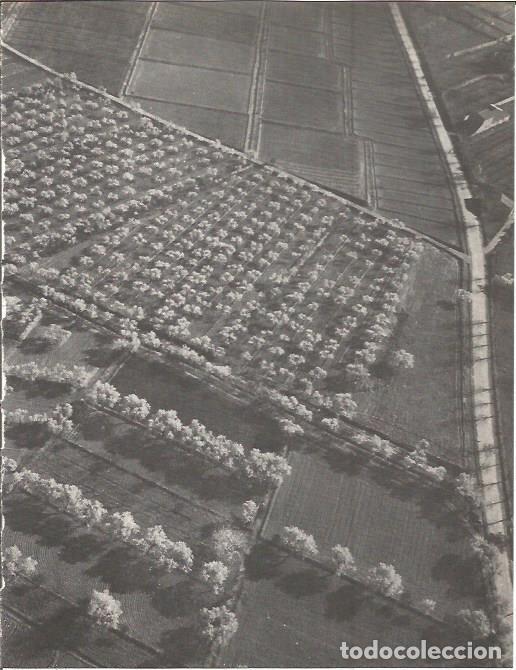 Cartes Postales: LAMINA V00286: Campo de manzanas en Segria, Lerida - J. Vallverdu - T. Sirera