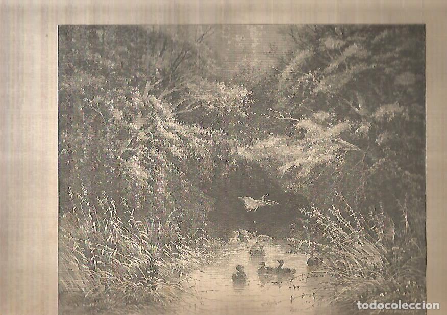 Postcards: LAMINA 13564: Soledad, por Bizozowsky - Varios