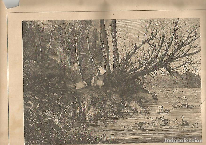 Postcards: LAMINA 13556: Paisaje - Varios