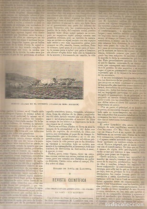 Postkarten: LAMINA 13562: Bueyes arando en el Nivernes - Varios