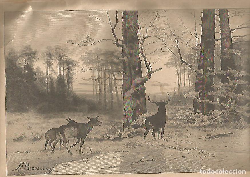 Postkarten: LAMINA 13204: Al rayar el alba, por F. Brzozowski - Varios