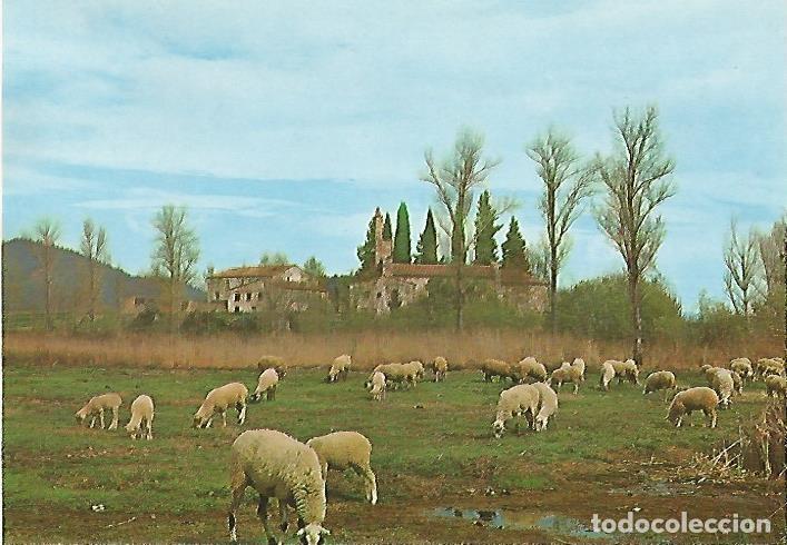 Cartes Postales: LAMINA 13108: Reba&ntilde;o de ovejas - Varios