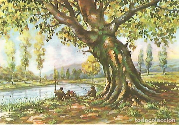 Cartes Postales: LAMINA 13141: Pescadores en un rio - Varios