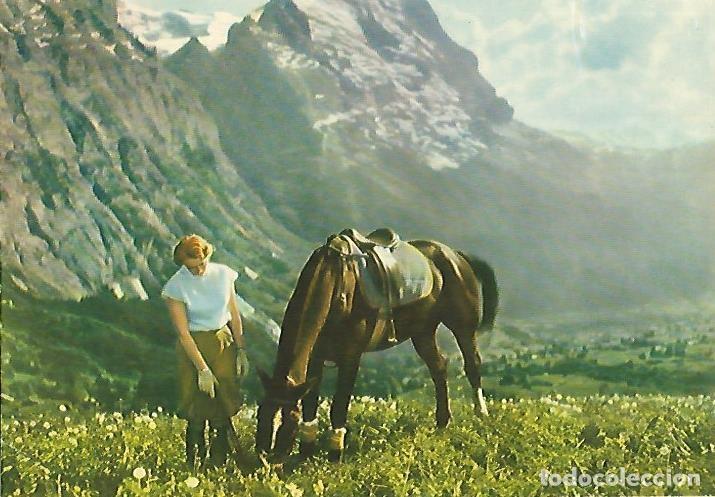 Cartes Postales: LAMINA 13098: Mujer con caballo - Varios