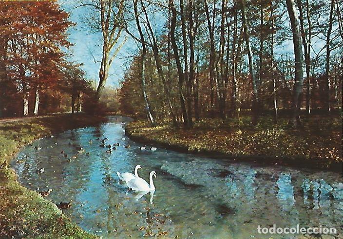 Postais: LAMINA 13096: Rio con cisnes - Varios