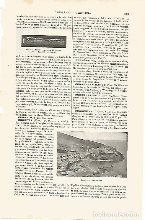 Cartoline: LAMINA ESPASA 32512: Vista de Cerbere - Varios