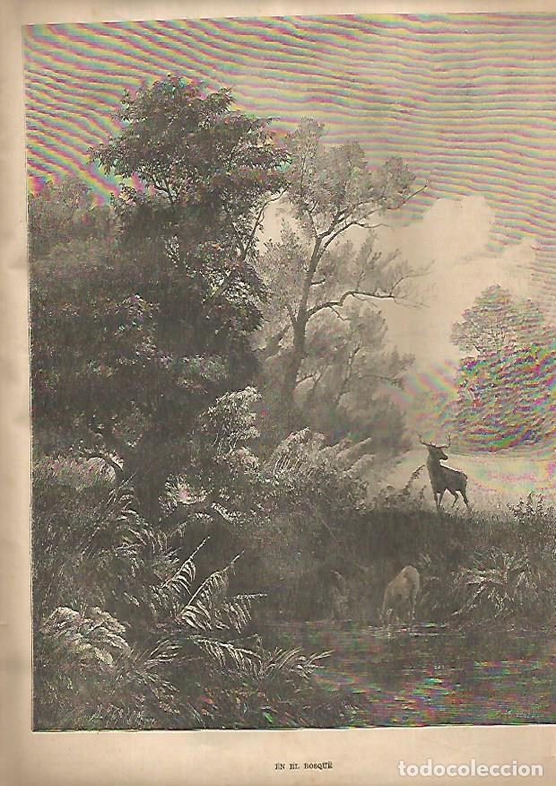 Cartoline: LAMINA 13244: En el bosque - Varios