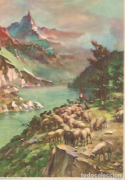 Postcards: LAMINA 13863: Ovejas y rio, numero 2820 - NULL