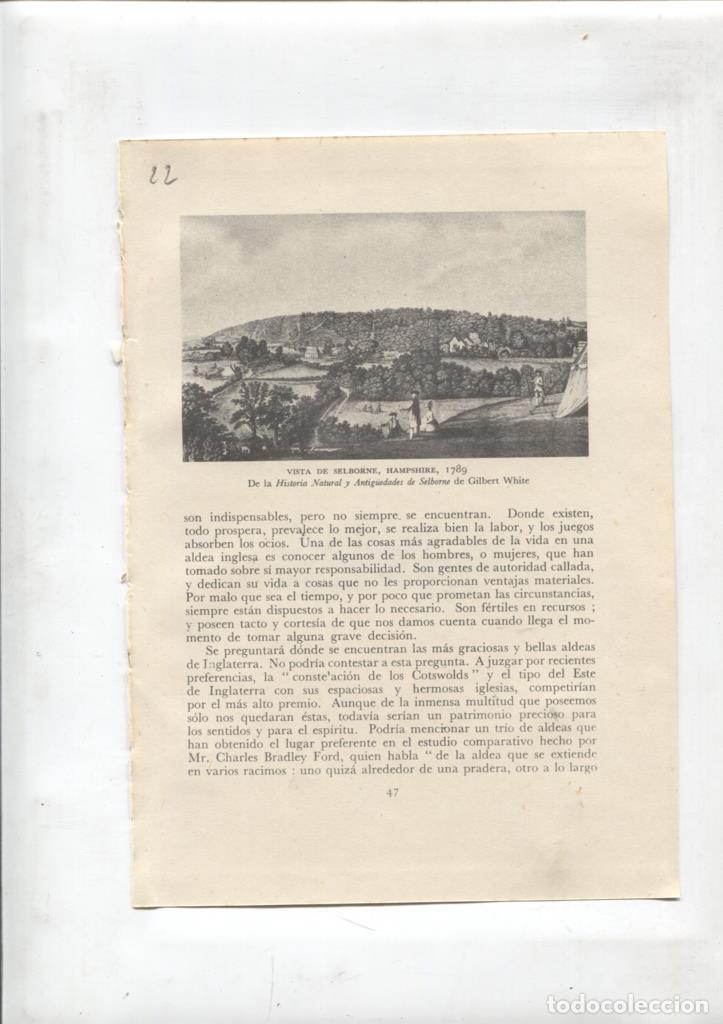 Postcards: Las aldeas inglesas lamina 22: Vista de Selborne - NULL