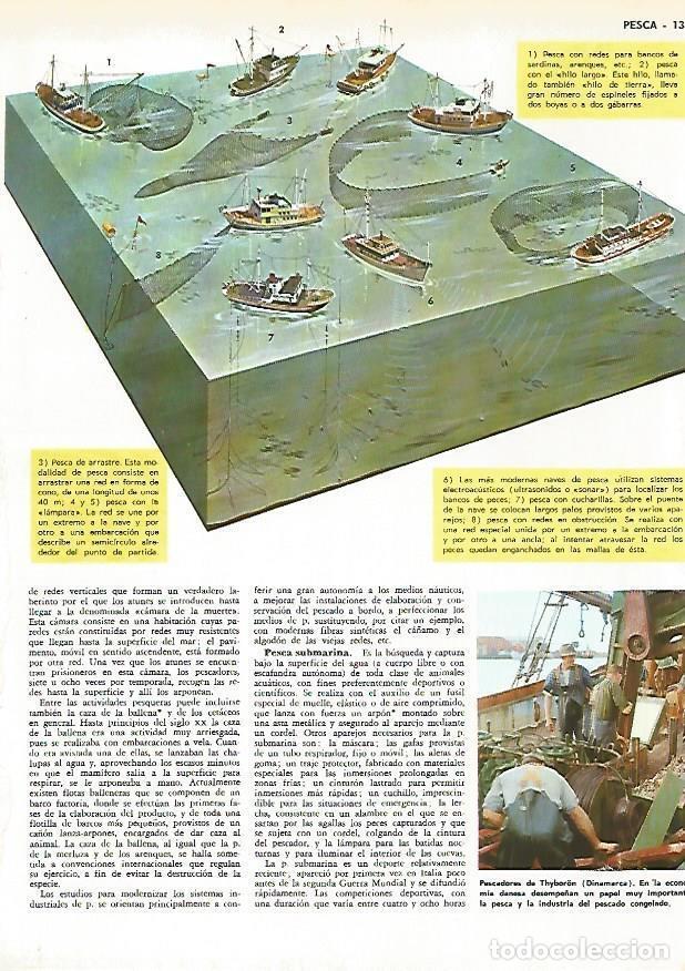Postkarten: LAMINA MONITOR 0546: Tipos de pesca - Varios