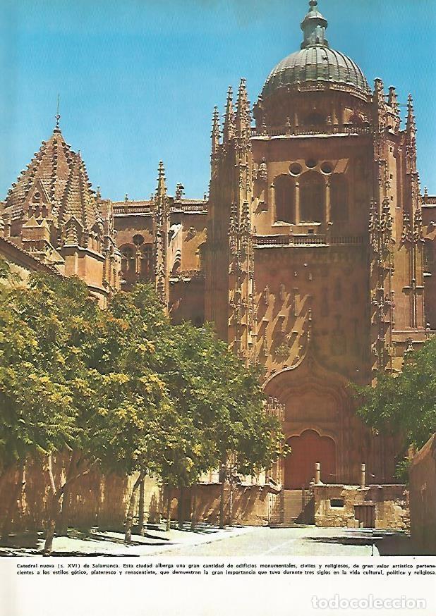 Postkarten: LAMINA MONITOR 0641: Catedral nueva de Salamanca - Varios