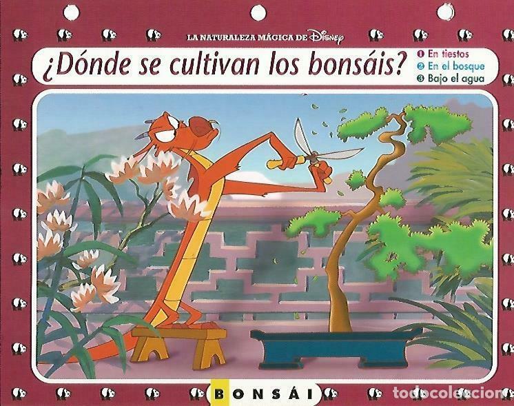 Postkarten: LAMINA 14096: Bonsai. Secretos con Mulan - Varios