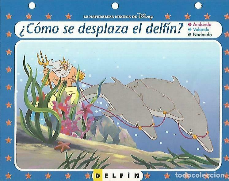 Postkarten: LAMINA 14071: Delfin. Secretos del mar con Ariel - Varios