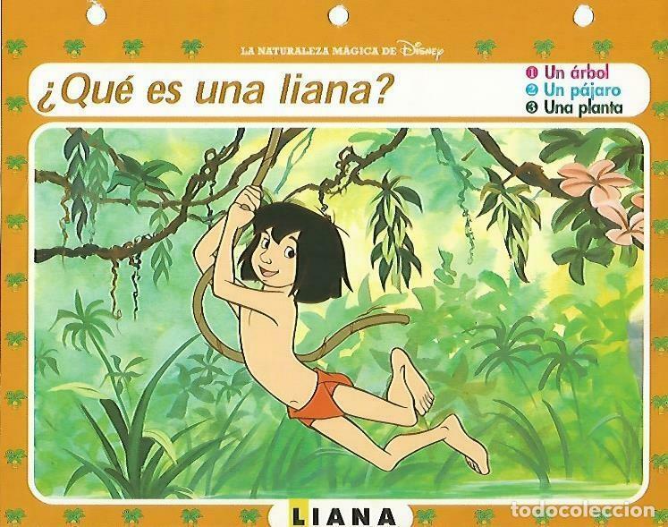 Postais: LAMINA 14066: Liana. Secretos de la jungla con Mowgli - Varios