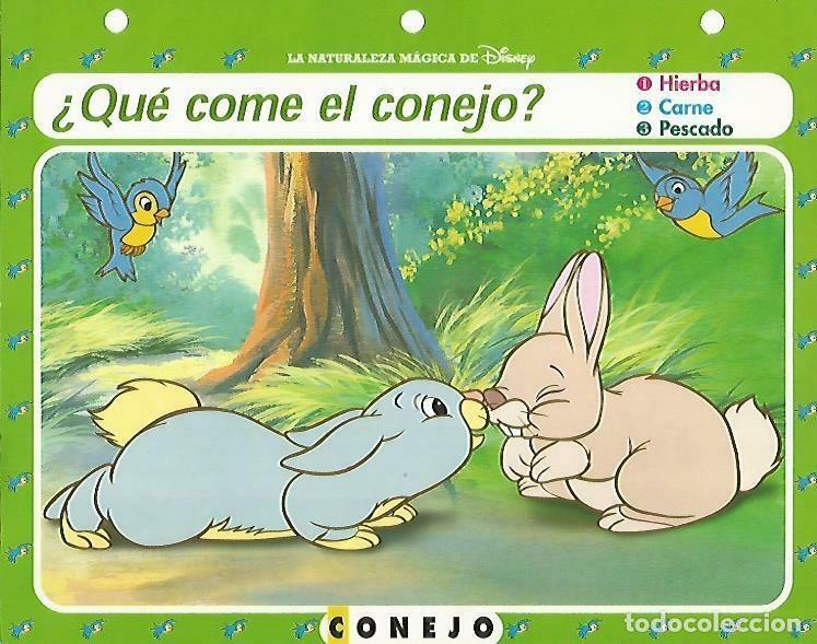Postais: LAMINA 14134: Conejo. Secretos con Blancanieves - Varios