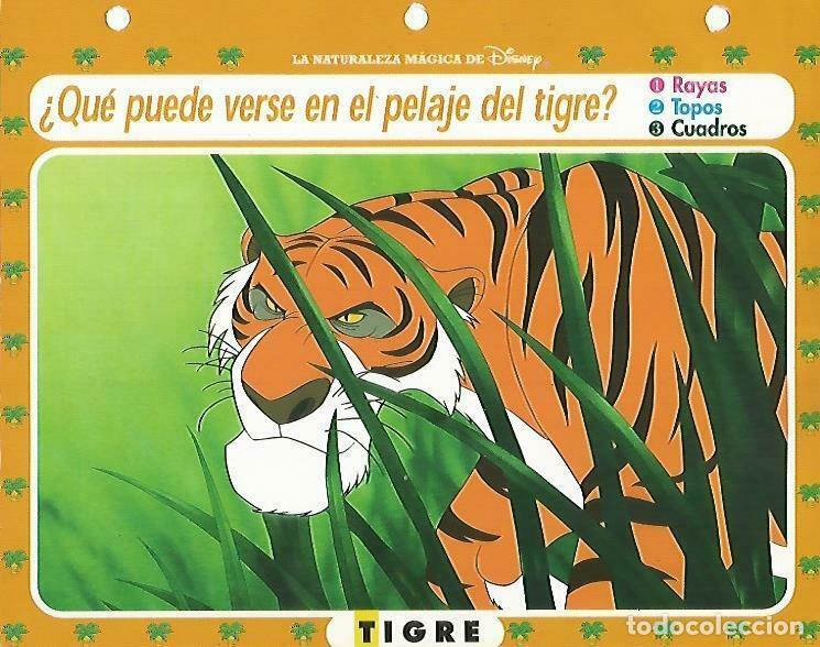 Postais: LAMINA 14104: Tigre. Secretos con Mowgli - Varios