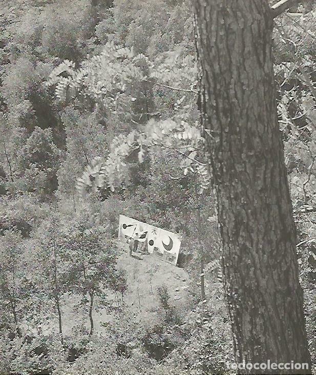 Postales: LAMINA 13972: Miro trabajando en Gallifa - Josep Pla