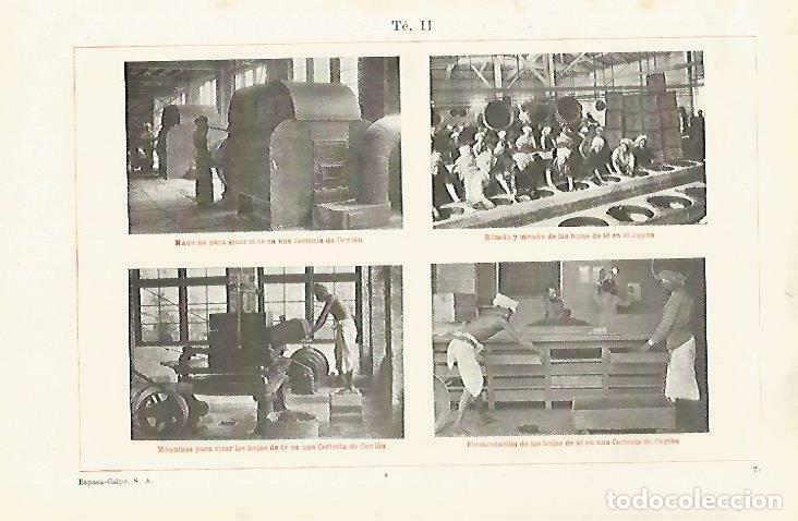 Postais: LAMINA ESPASA 33525: Fabrica de te en Japon y Sri Lanka - Varios