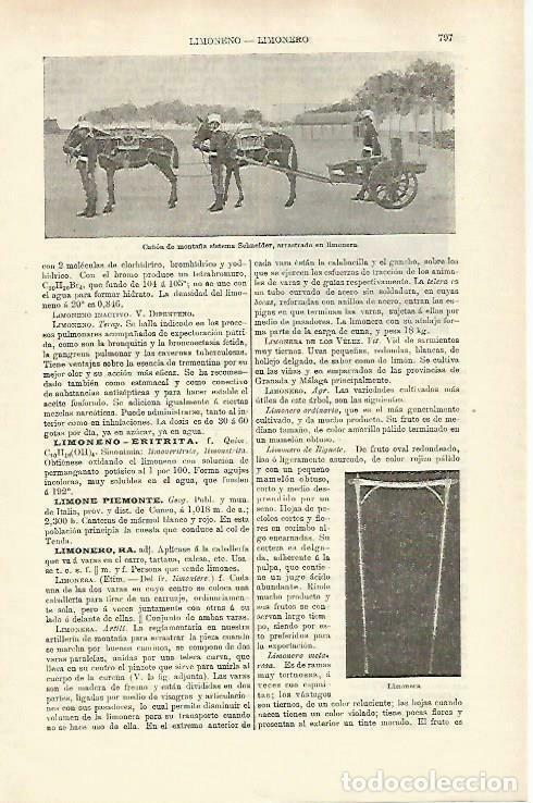 Postais: LAMINA ESPASA 33295: Ca&ntilde;on de monta&ntilde;a Schneider - Varios