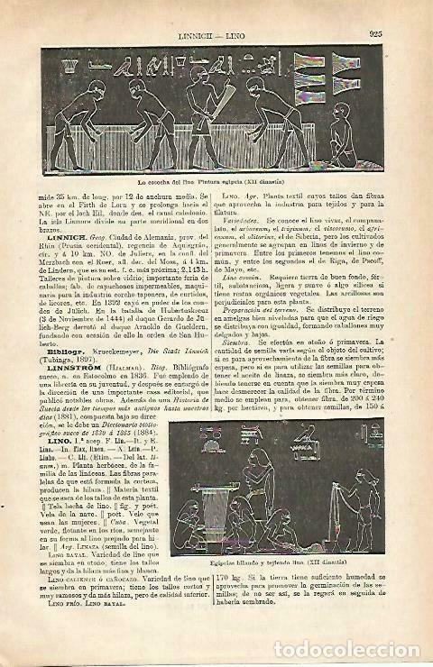 Postales: LAMINA ESPASA 33316: La cosecha del lino, papiro de Egipto - Varios