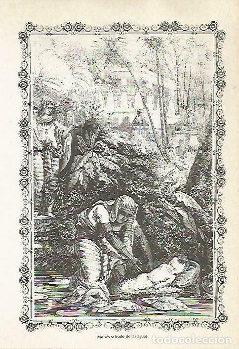 Postais: LAMINA 14487: Moises salvado de las aguas - VVAA
