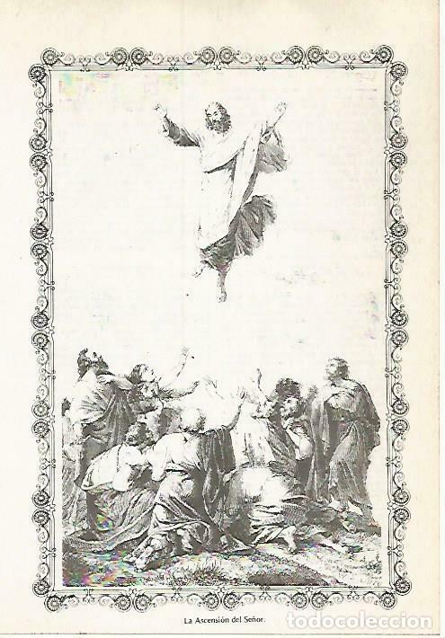 Postais: LAMINA 14583: La Ascension del Se&ntilde;or - VVAA
