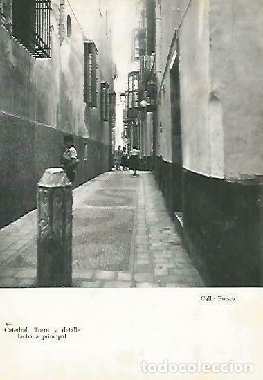 Postais: LAMINA 14354: Calle Fresca, Malaga - Jose Maria Souviron