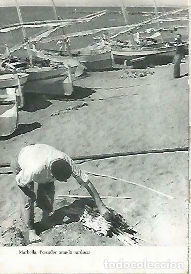 Cartoline: LAMINA 14376: Pescador en Marbella, Malaga - Jose Maria Souviron