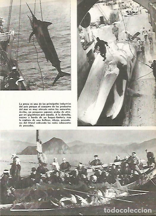 Cartoline: LAMINA 14831: Pesca en Japon - VVAA