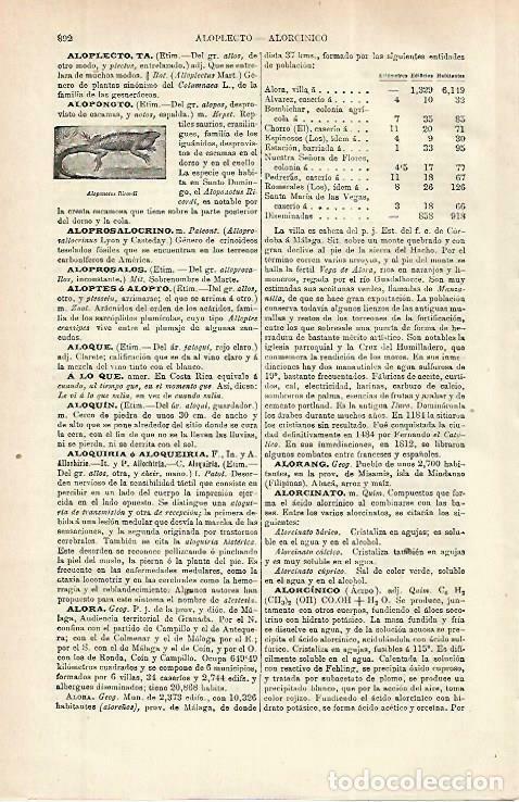 Postkarten: LAMINA ESPASA 33866: Aloponotus Ricordi - Varios