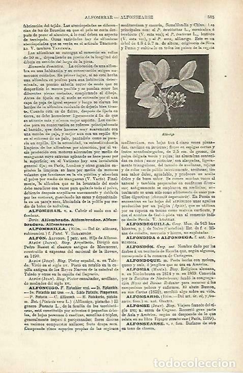 Postales: LAMINA ESPASA 33733: Alfoncigo - Varios