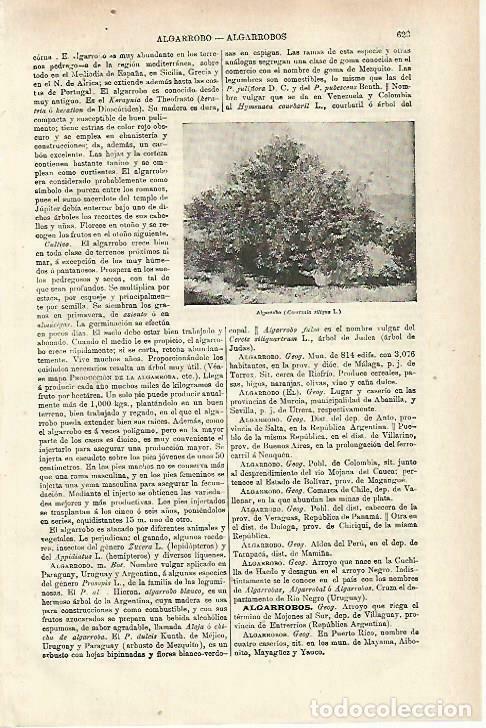 Postales: LAMINA ESPASA 33757: Algarrobo - Varios